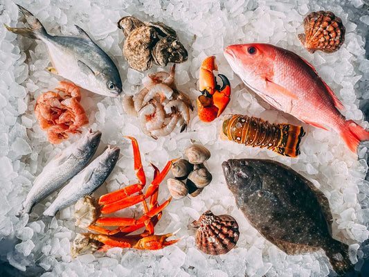 What’s better - fresh or frozen fish?