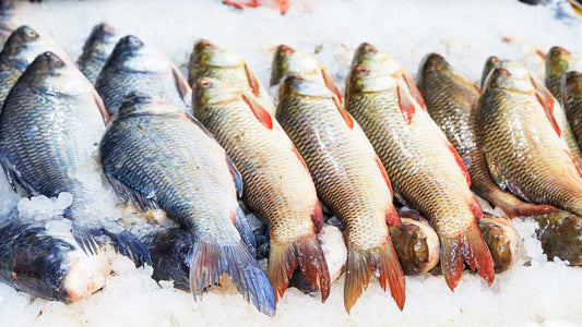 Omega-3’s in Fish