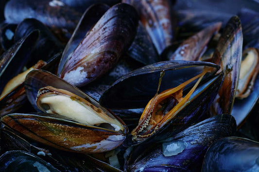 How to prepare mussels