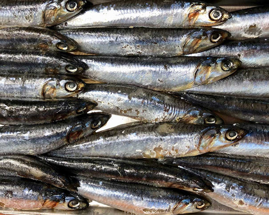 Omega-3s fatty acids and their benefits for your health