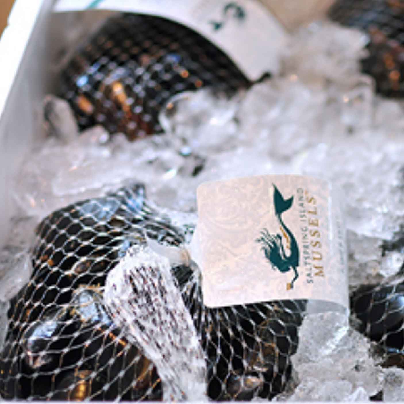 Mussels Saltspring