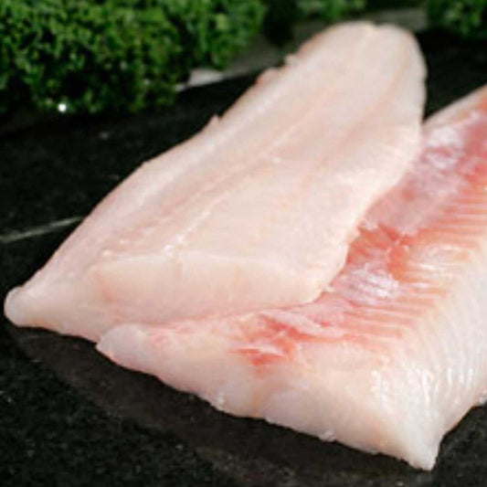 Ling Cod British Columbia Oceanwise WILD