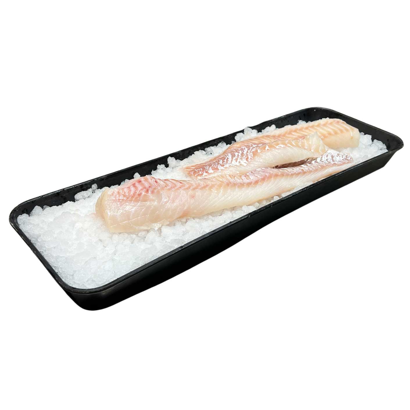 Atlantic Cod Oceanwise WILD