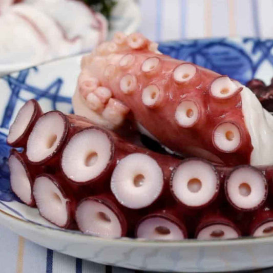 Octopus British Columbia Oceanwise WILD