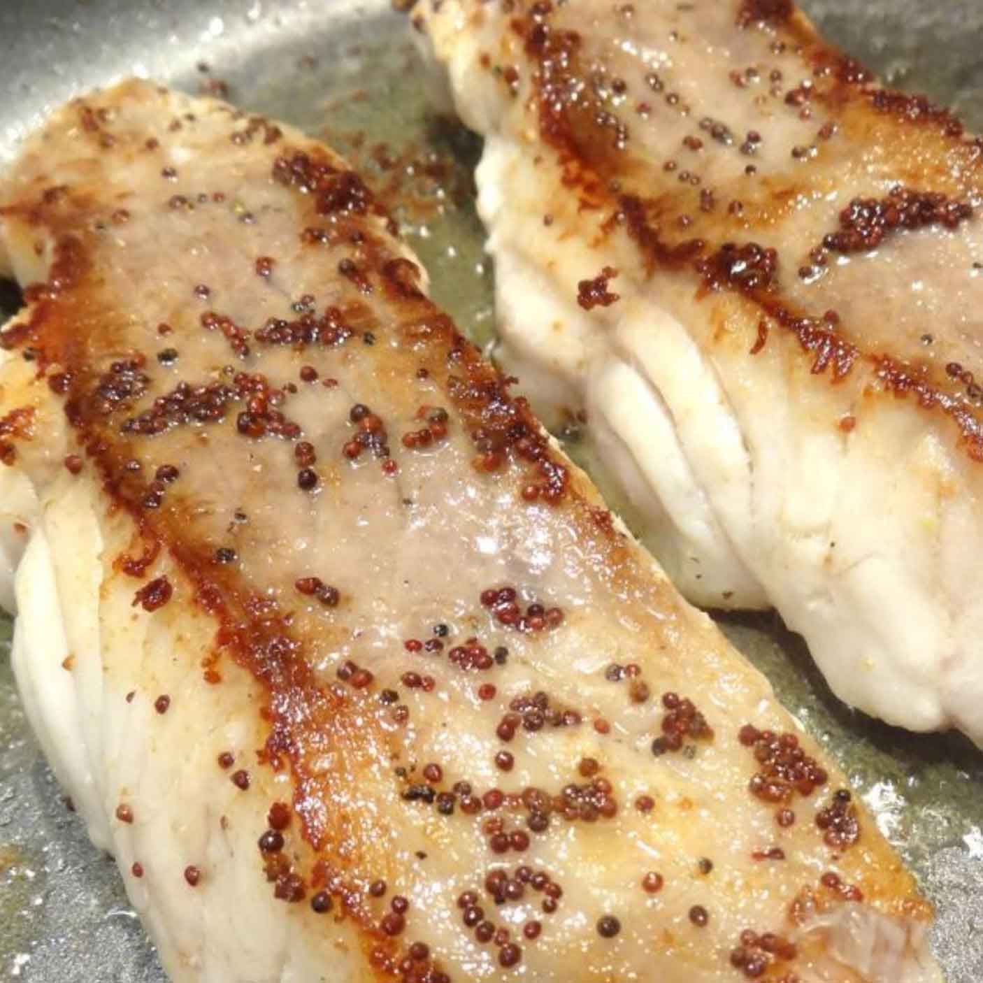Ling Cod British Columbia Oceanwise WILD