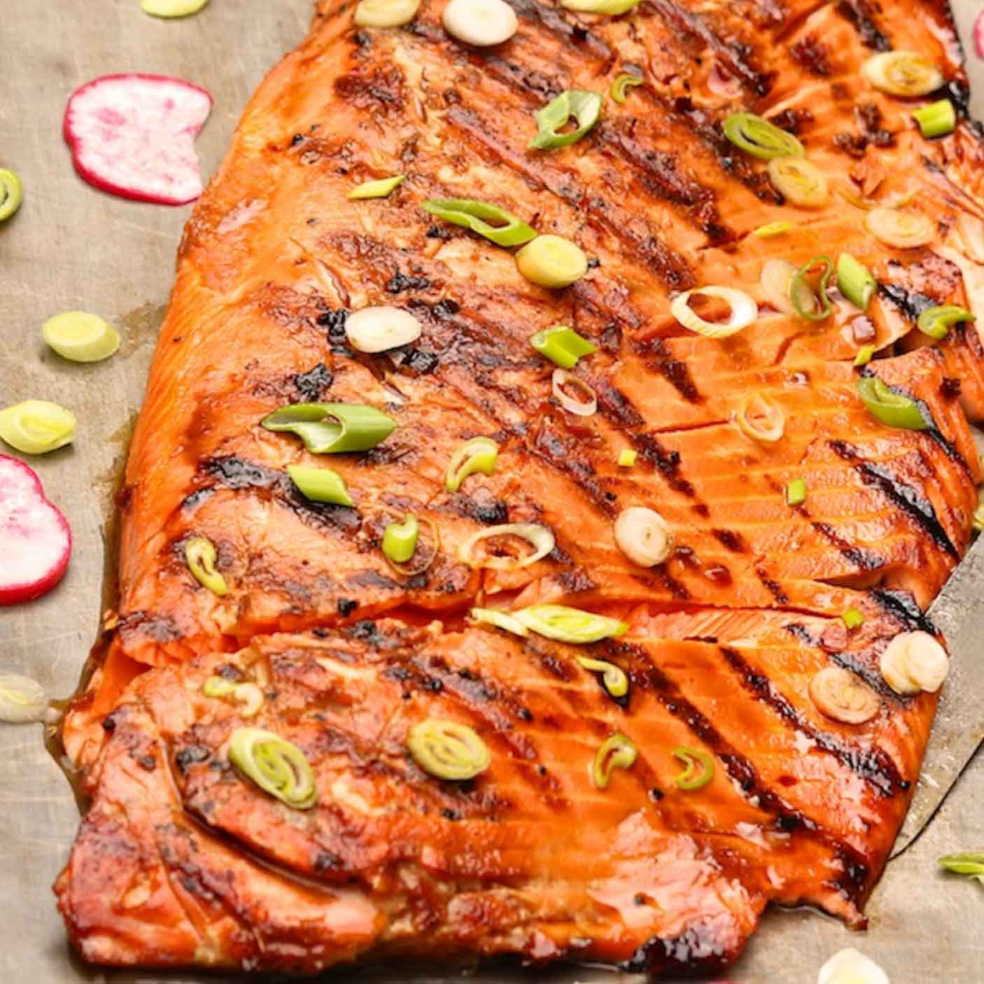 Sockeye Salmon Wood River, Alaska Oceanwise WILD
