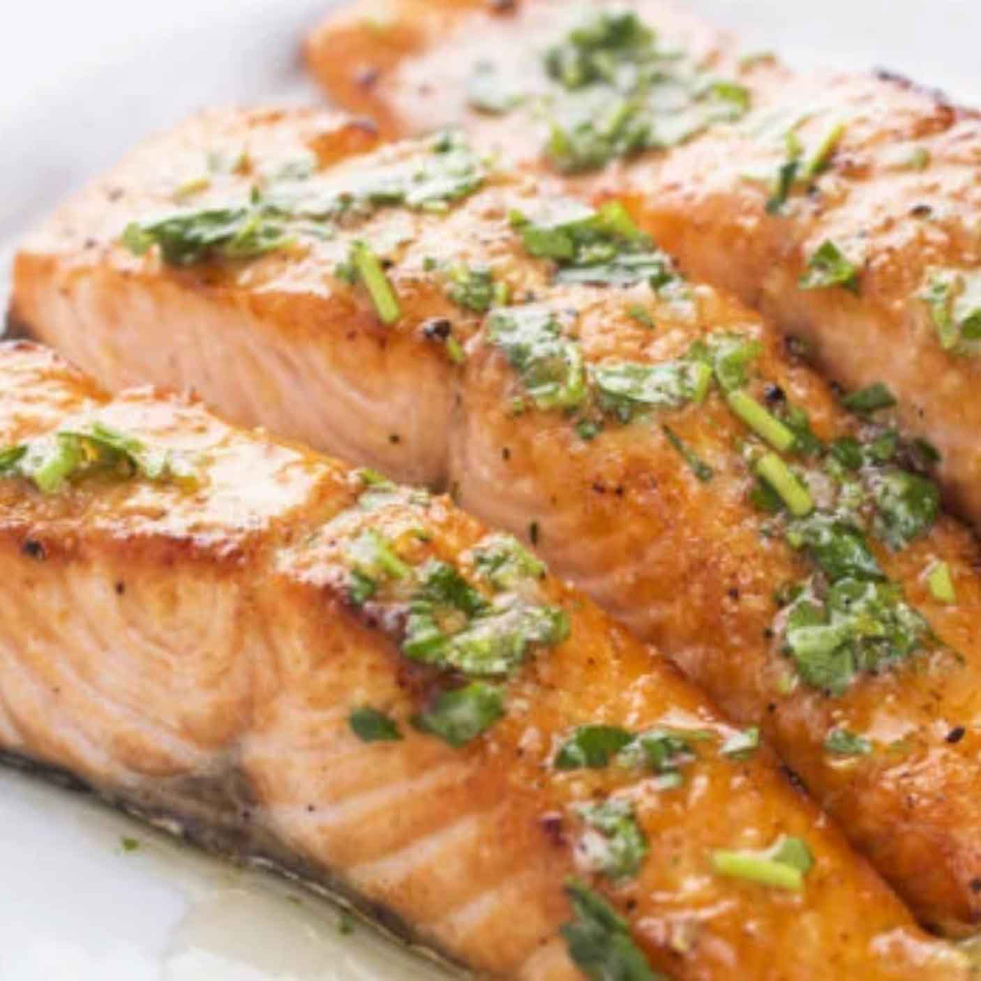 Sockeye Salmon Wood River, Alaska Oceanwise WILD