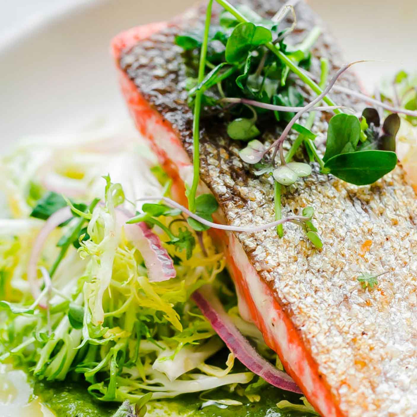 Sockeye Salmon Wood River, Alaska Oceanwise WILD