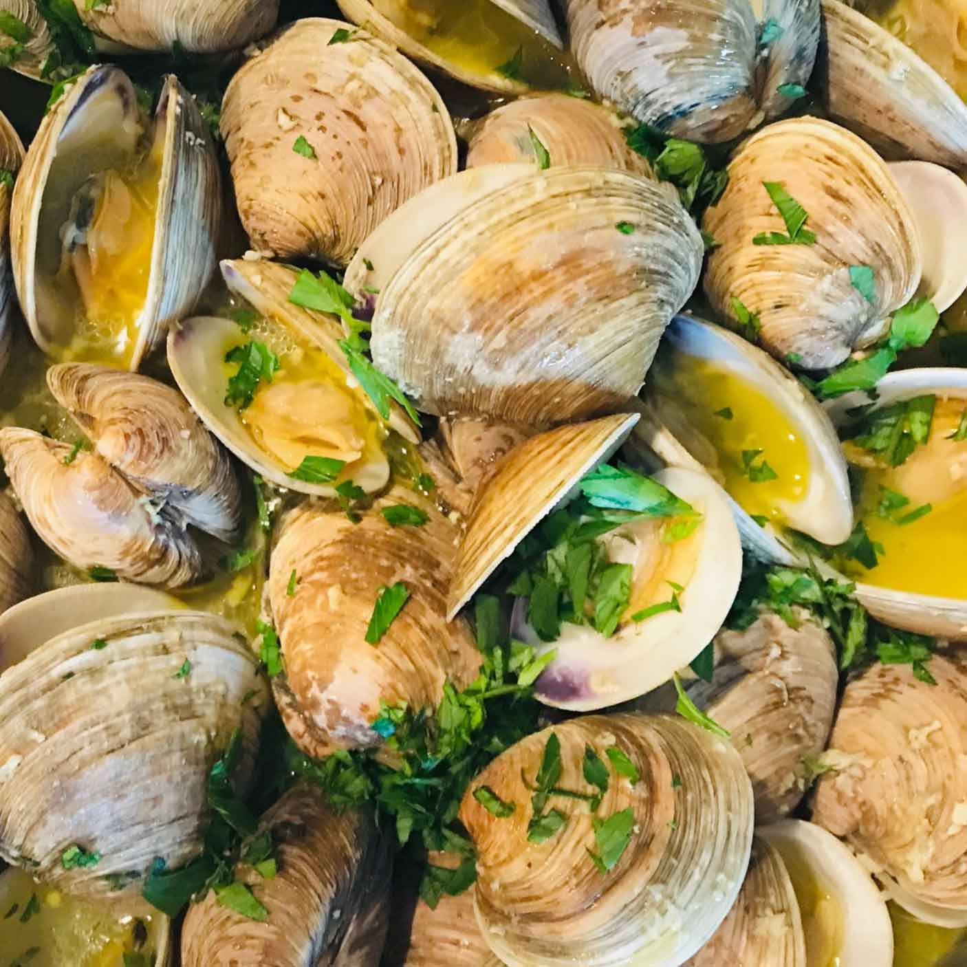 Clams Manila Cultured Oceanwise