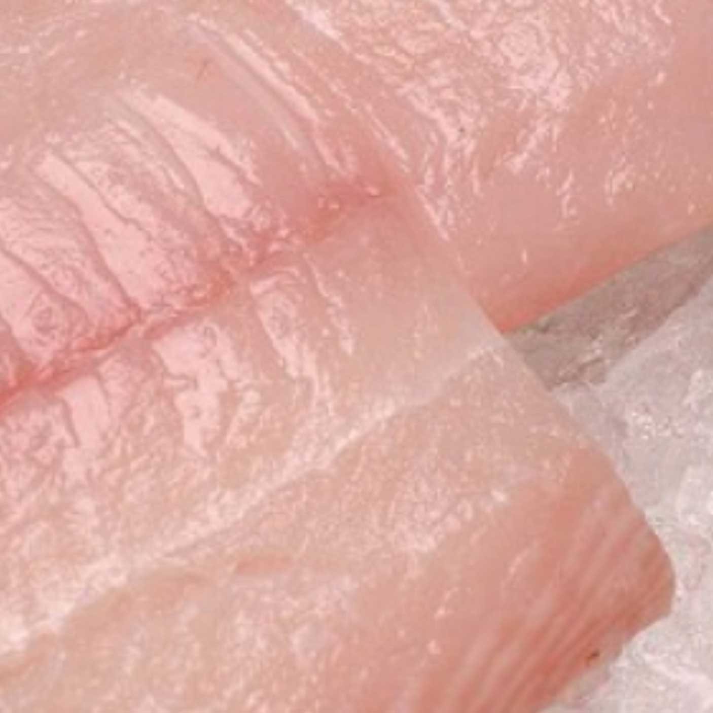 Halibut BC/Alaska Oceanwise WILD