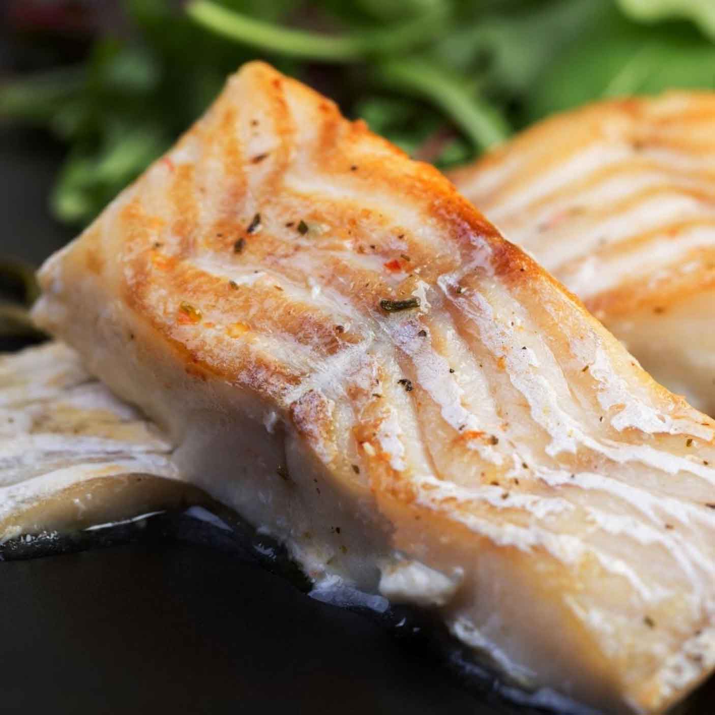 Ling Cod British Columbia Oceanwise WILD