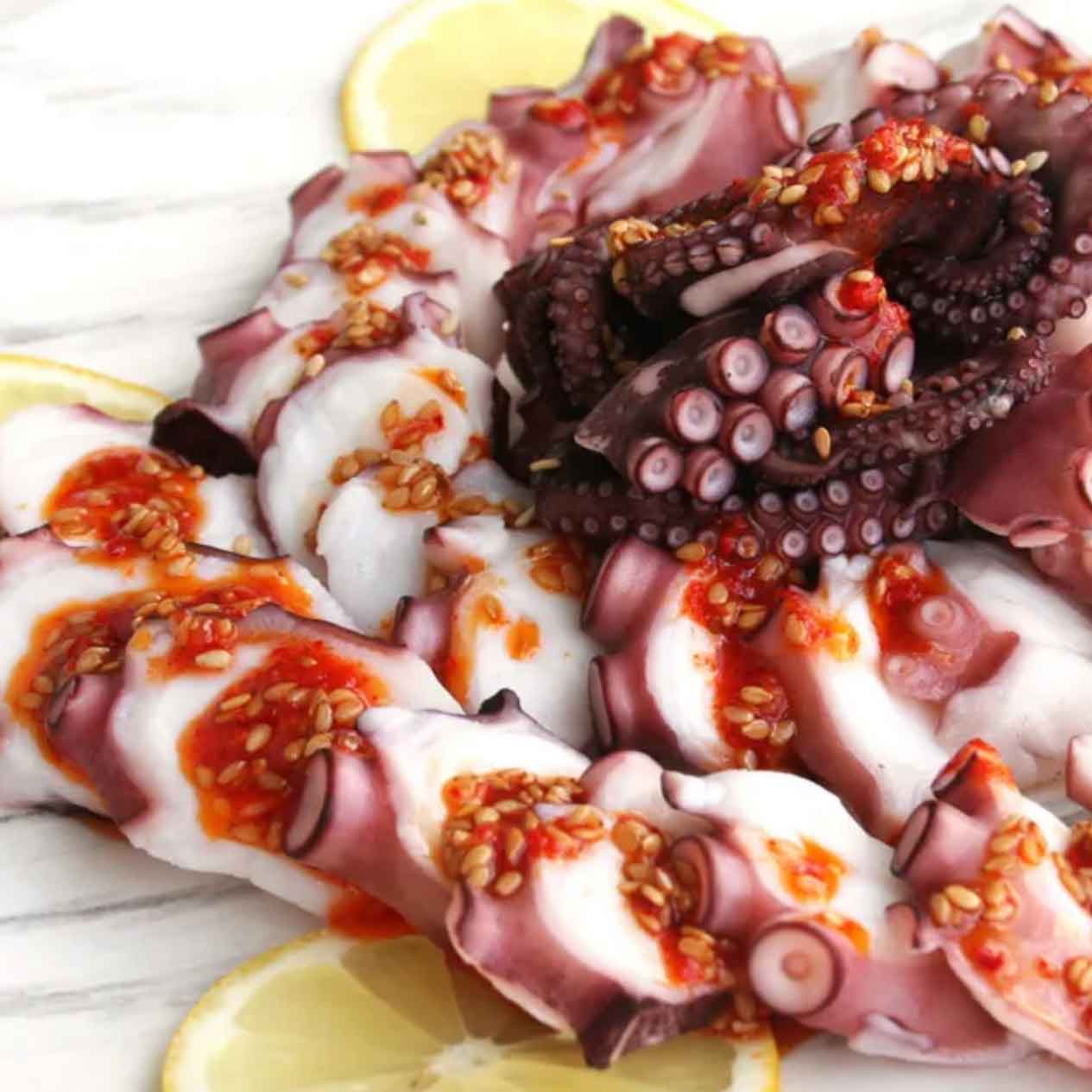 Octopus British Columbia Oceanwise WILD