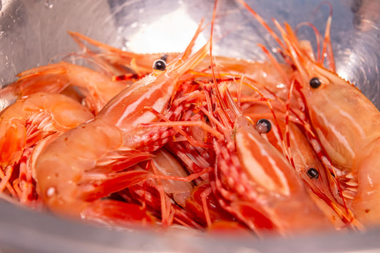 Spot Prawn Season Has Arrived: Why These Wild BC Beauties Are Worth the Wait
