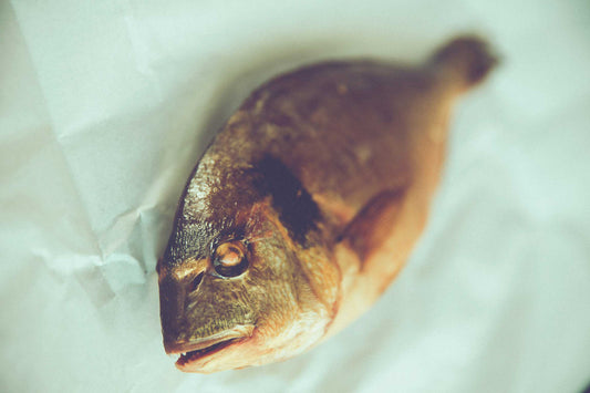 Get Rid of the Fishy Odour