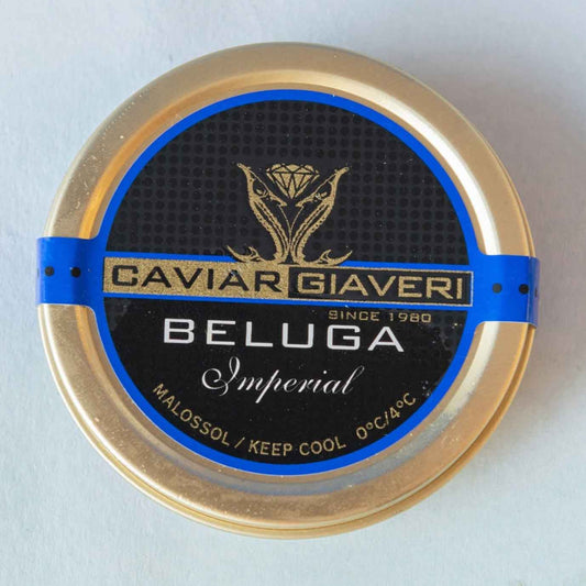 Caviar Beluga Sturgeon