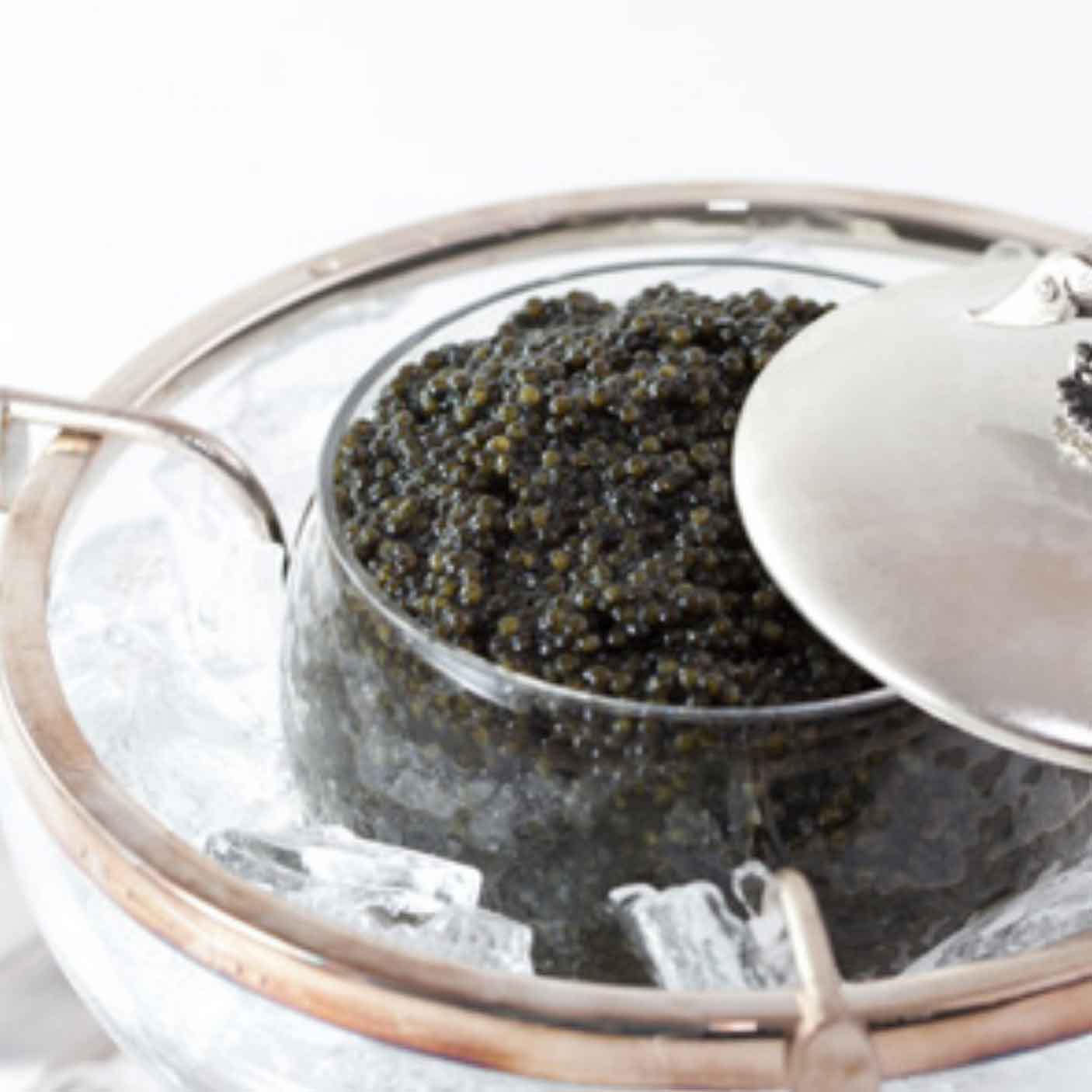 Caviar Northern Divine Sturgeon