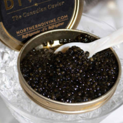 Caviar Northern Divine Sturgeon