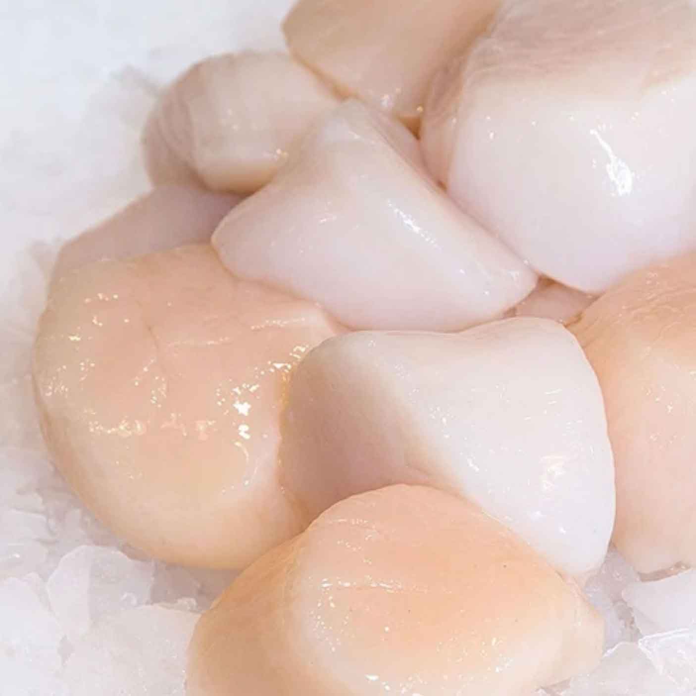 Scallops Hokkaido Medium 10/20 (2S) Frozen IQF