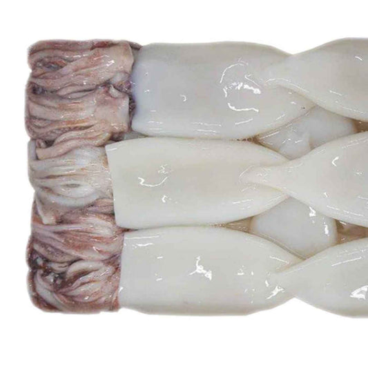 Squid - Calamari Loligo Cleaned Tubes & Tentacles 3/5 Frozen