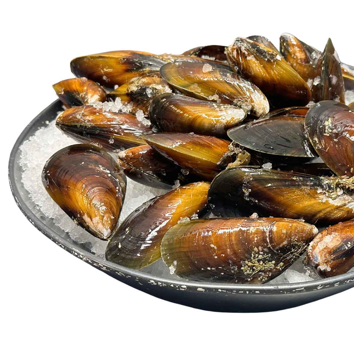 Honey Mussels (Lasqueti Island, BC)
