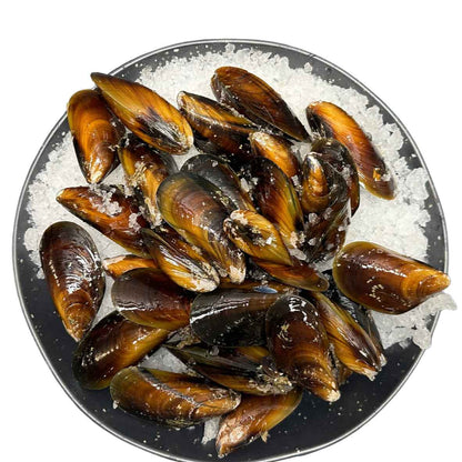 Honey Mussels (Lasqueti Island, BC)
