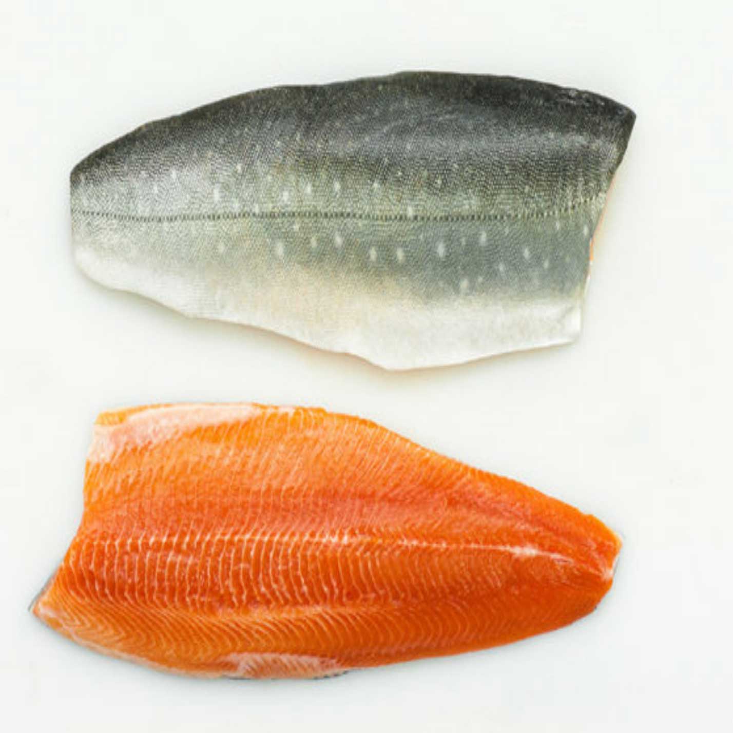 Arctic Char Farmed Oceanwise