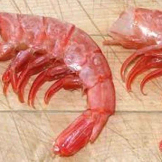 Red Prawns Shell On Argentina WILD