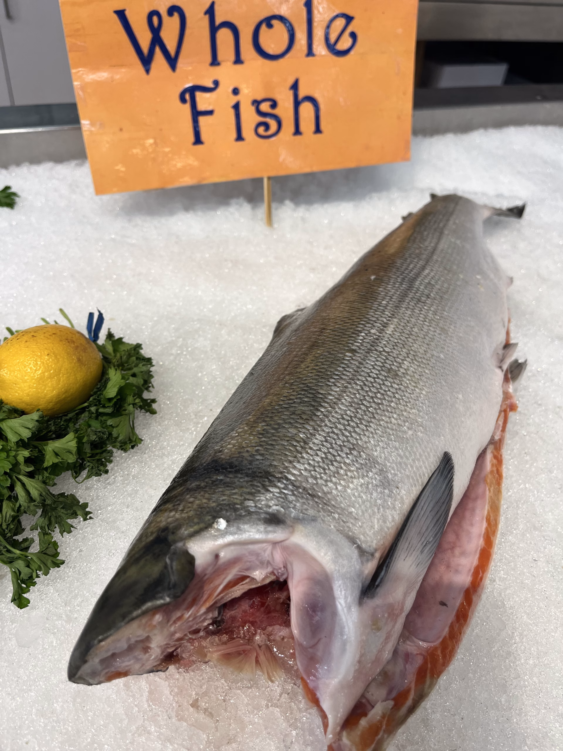 Whole salmon on ice with a hand-written sign