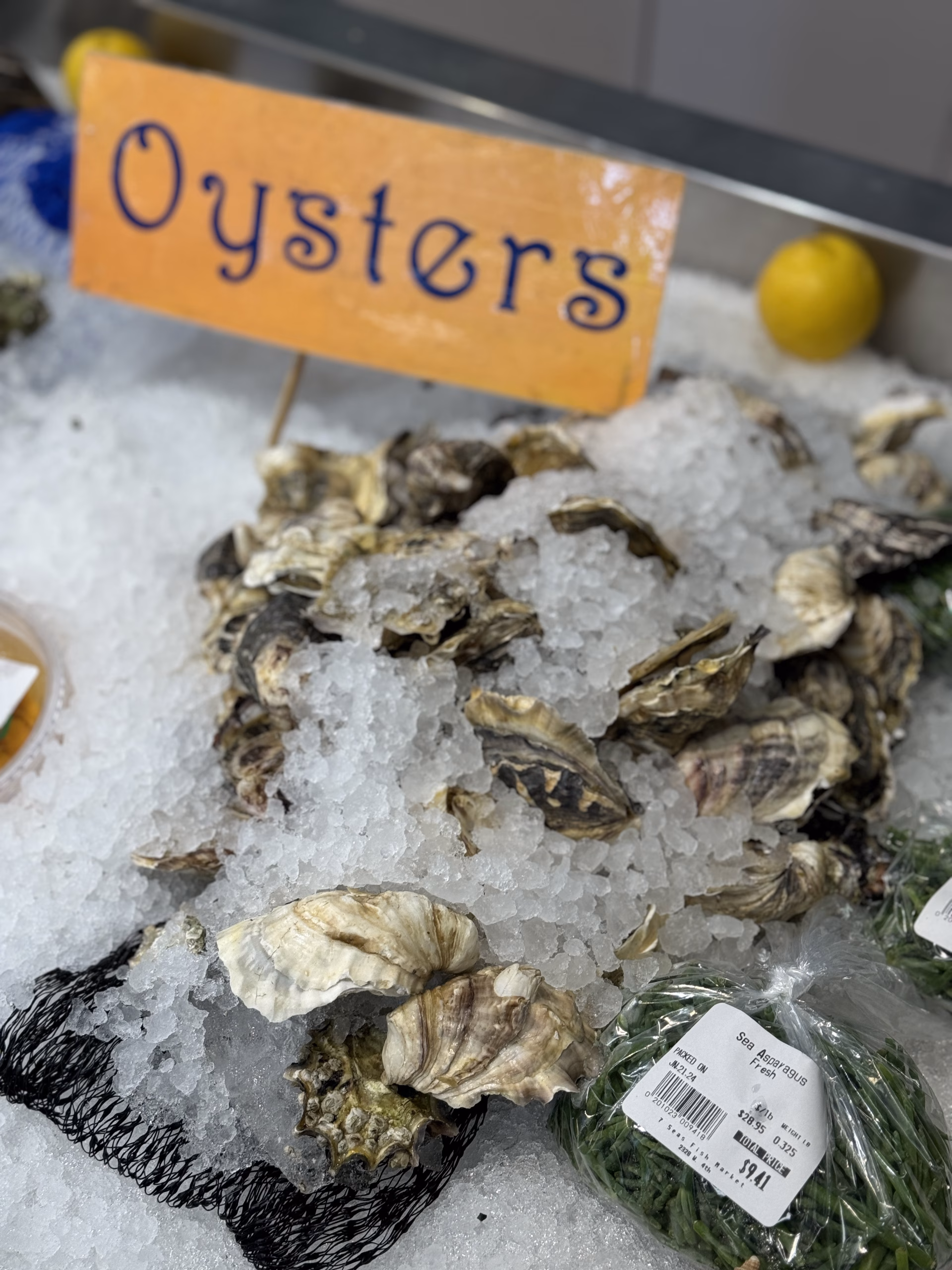 Oysters on ice at the counter