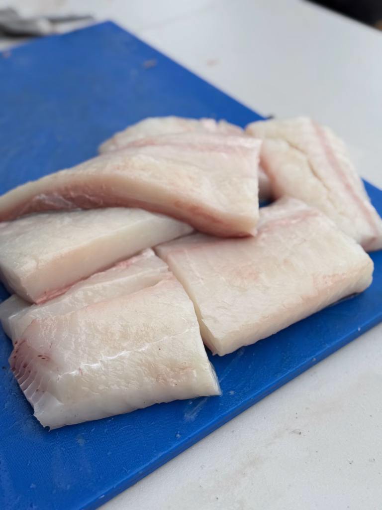 fresh halibut