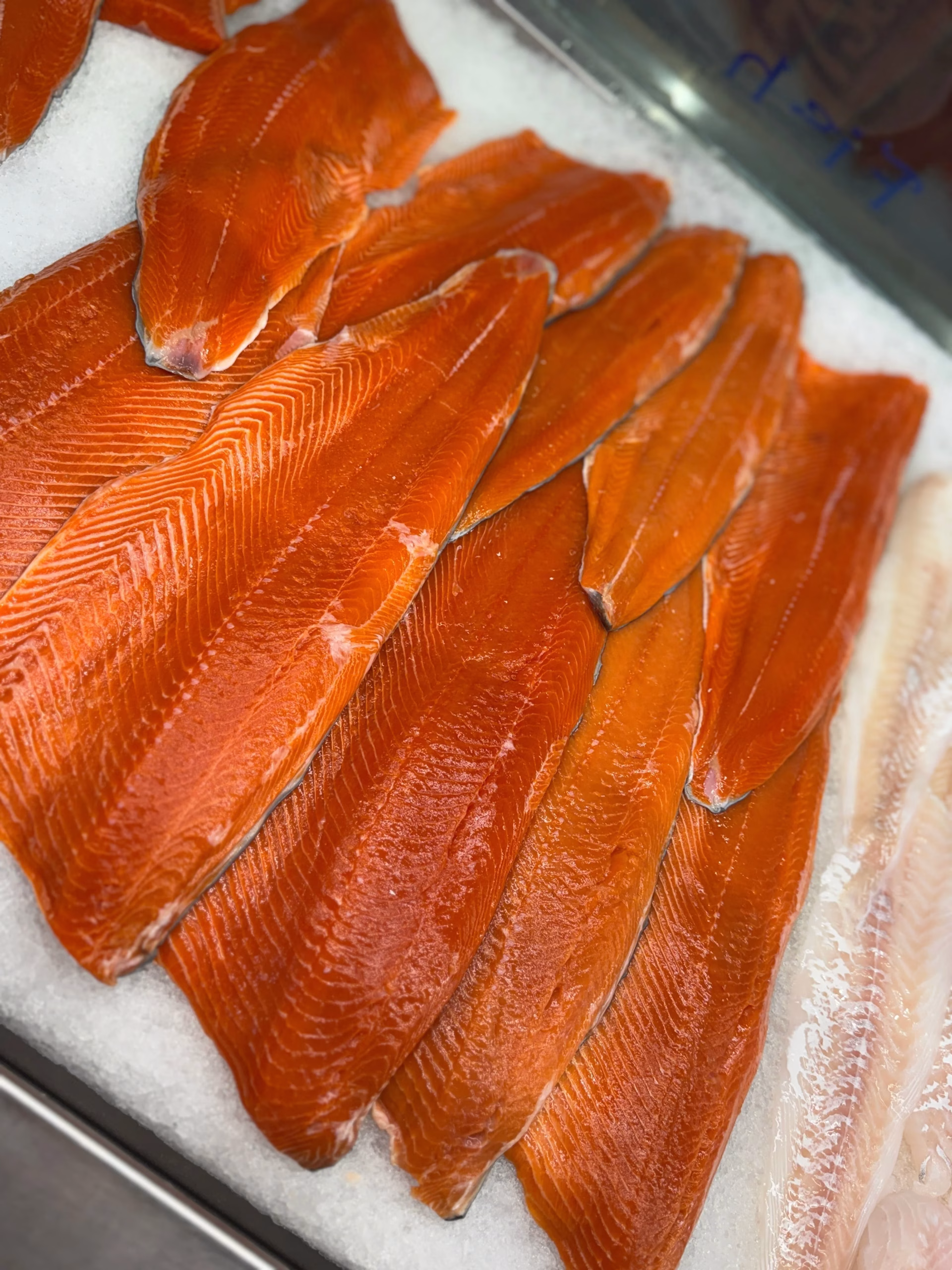 fresh sockeye salmon