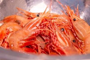 The 7 Seas Seafood Journal 21 spot prawn