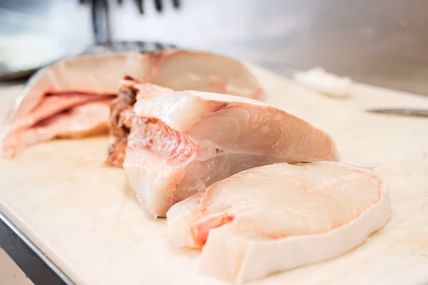 Fresh halibut display at 7 Seas Fish Market